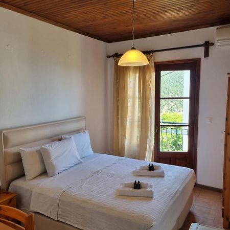 Zeus Guesthouse 帕纳基雅 外观 照片