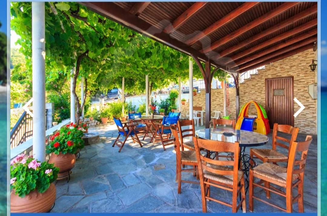 Zeus Guesthouse 帕纳基雅 外观 照片