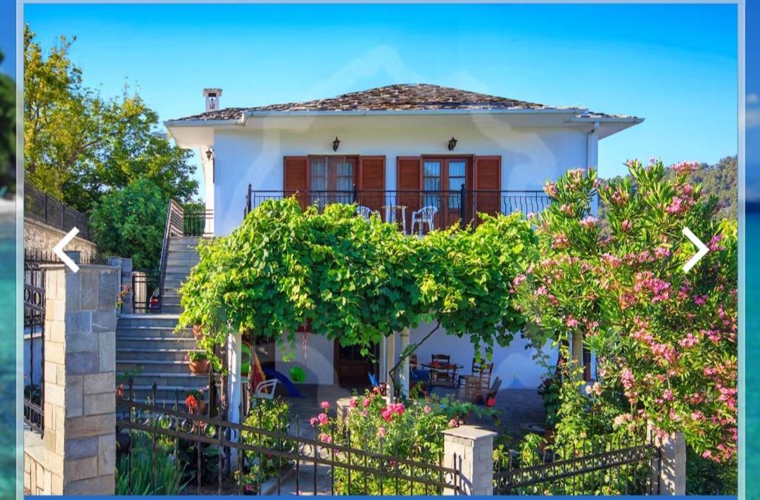 Zeus Guesthouse 帕纳基雅 外观 照片